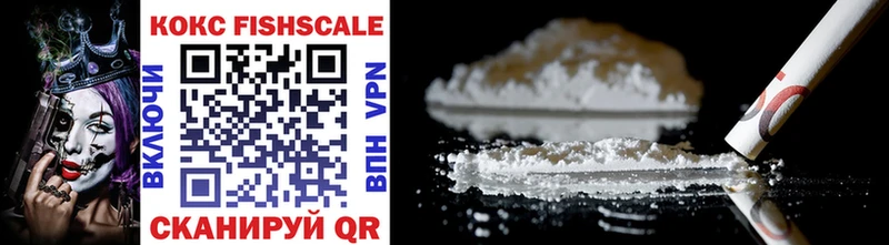 COCAIN Fish Scale  Новокузнецк 