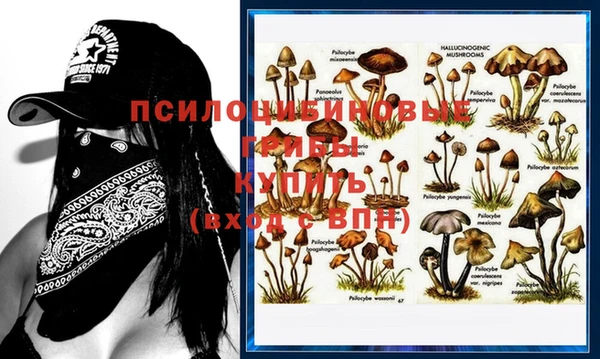 гашик Нея
