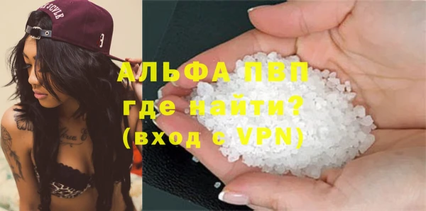 гашик Нея