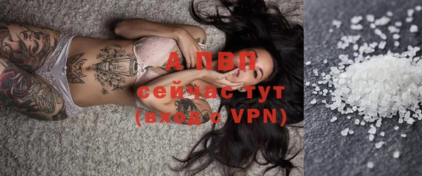 гашик Нея