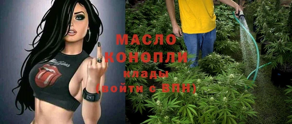 гашик Нея