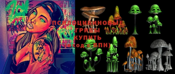 трава Нефтегорск