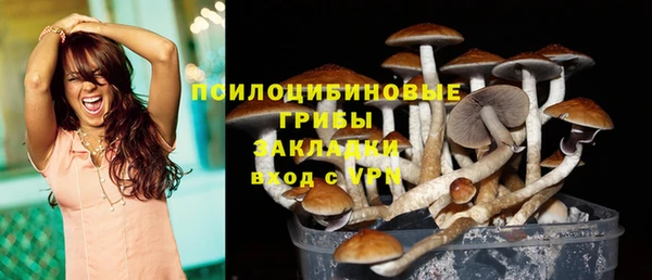 трава Нефтегорск