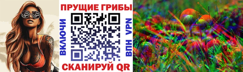 Псилоцибиновые грибы Magic Shrooms  где можно купить наркотик  блэк спрут ТОР  Новокузнецк 